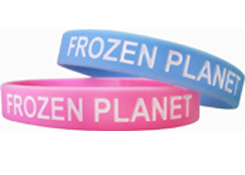 Pink and blue Frozen Planet silicone wristbands